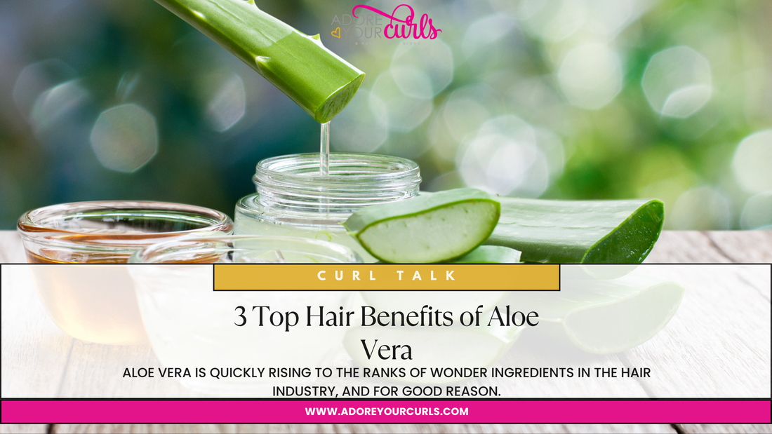 3 TOP HAIR BENEFITS OF ALOE VERA